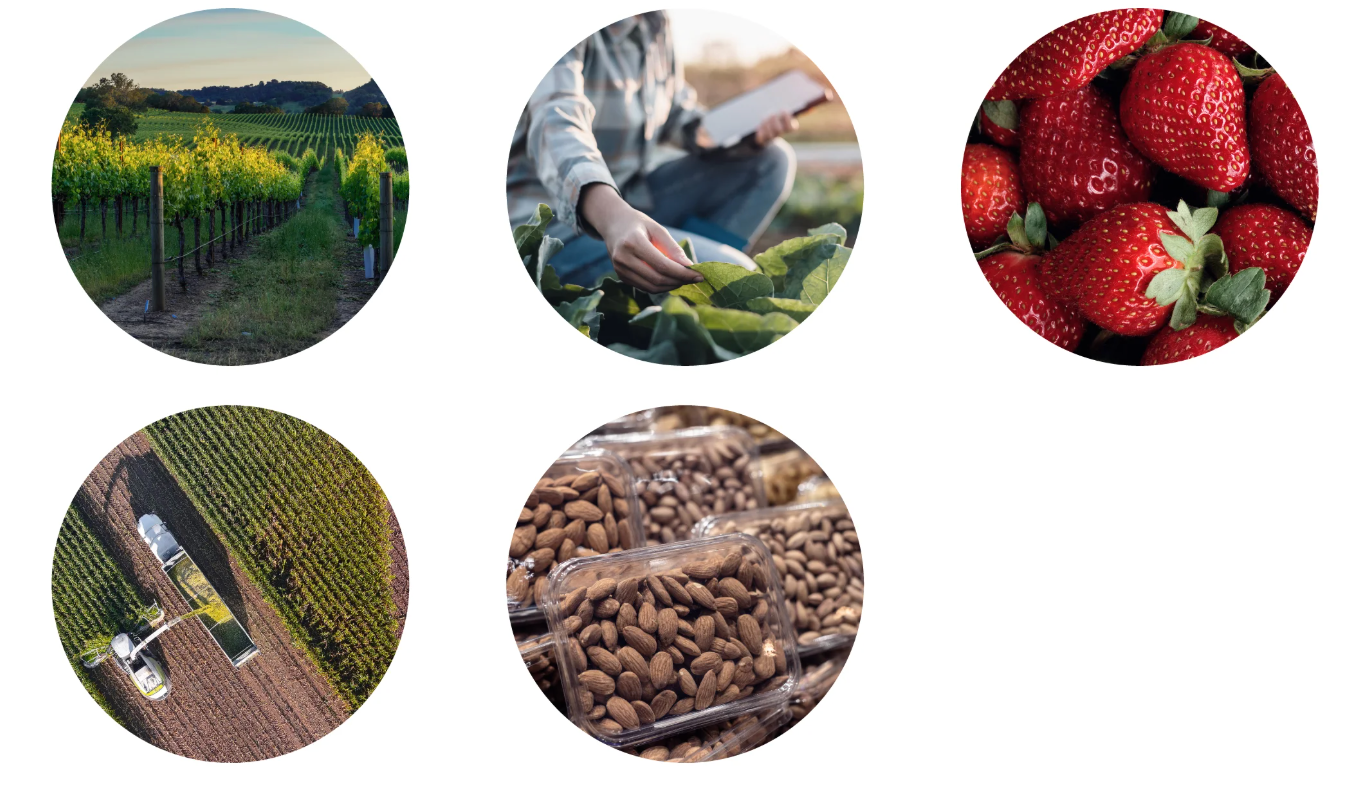 Food-Agribusiness